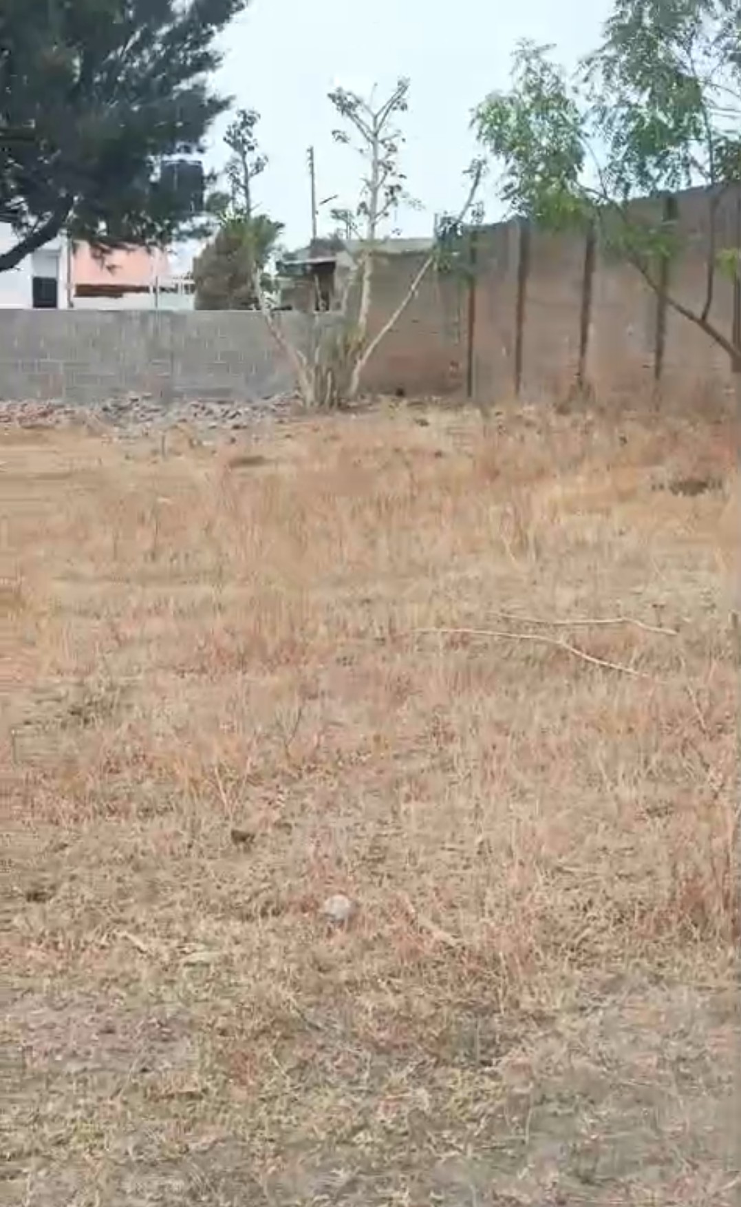 Commercial Land for Sale