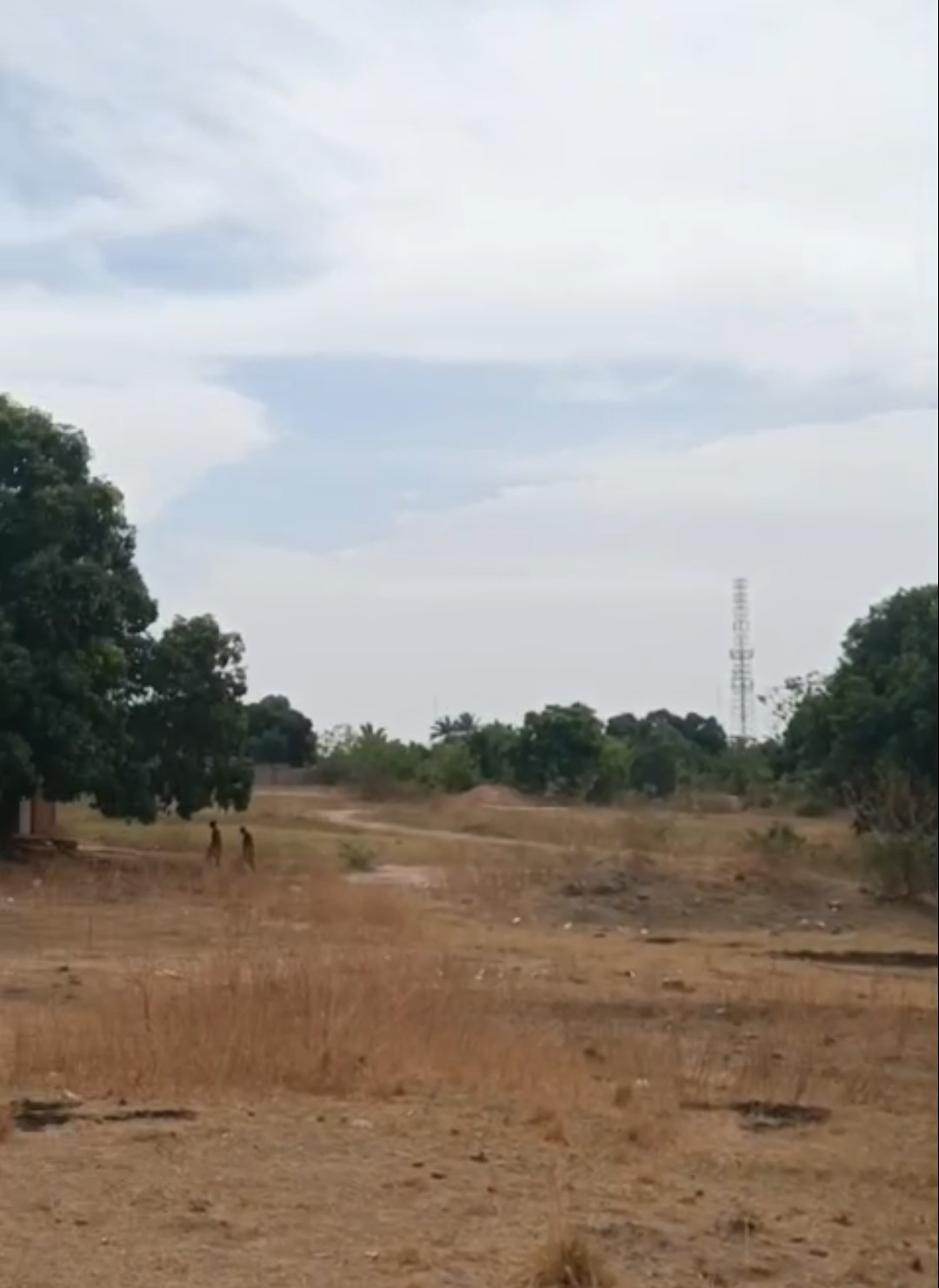 Commercial Land for Sale