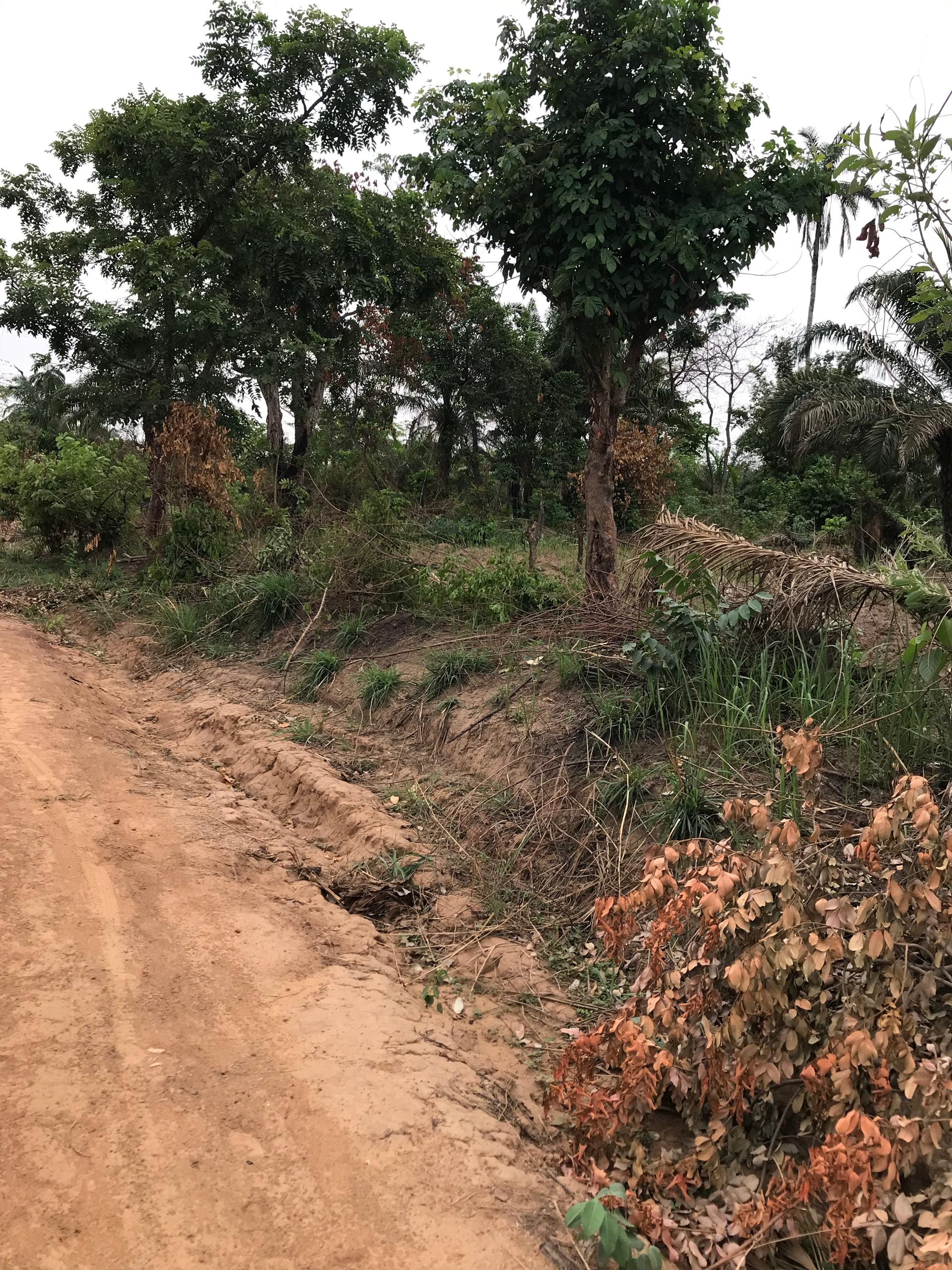 Plots available for sale