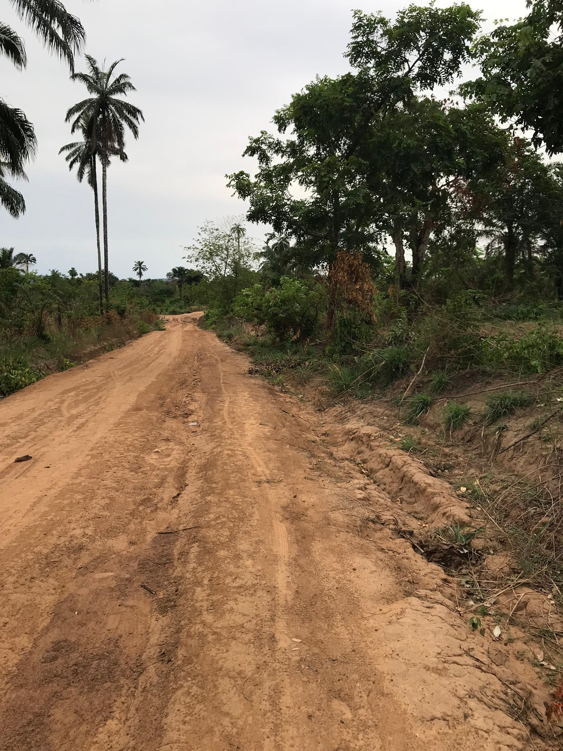 Plots available for sale
