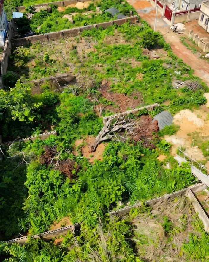 Land
