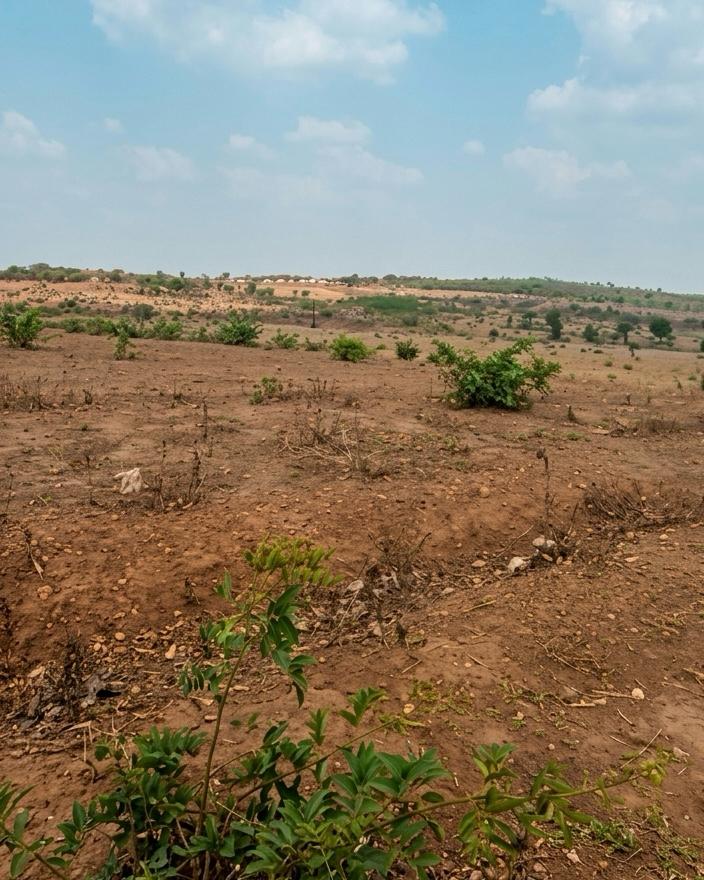 8 hectares in Guzape II