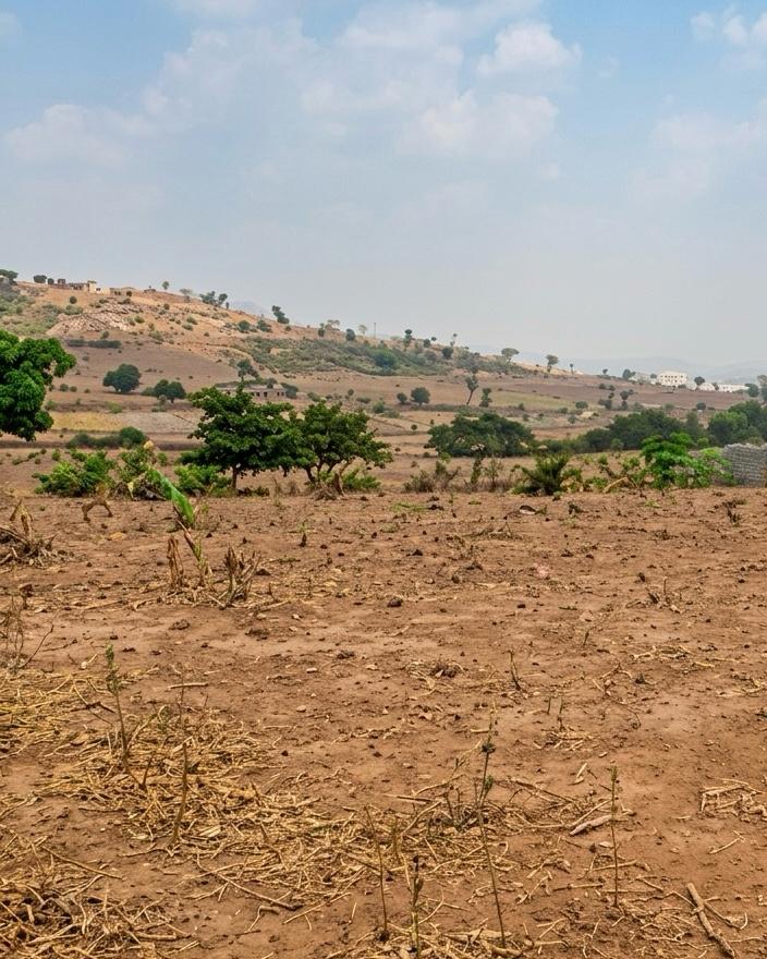 8 hectares in Guzape II