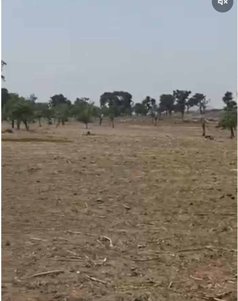 100 Hectres Land