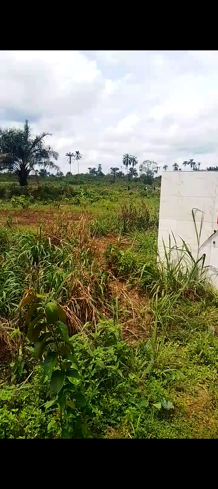 Prime Land for Sale at TLE City Estate, Uyo – From ₦1.75M