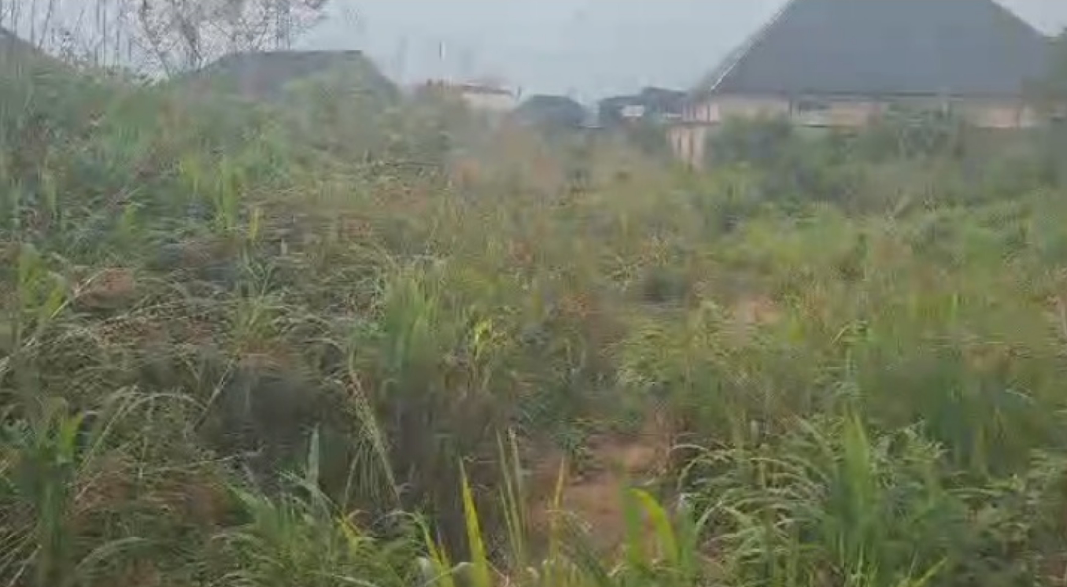 1 Standard plot of land